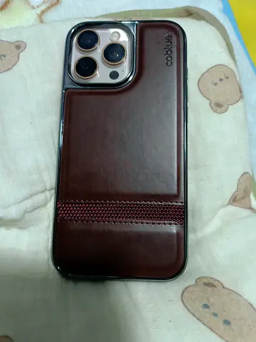 iPhone16 pro max 256gb  with brown leather card wallet case (used) - fits iPhone Pro/Pro Max