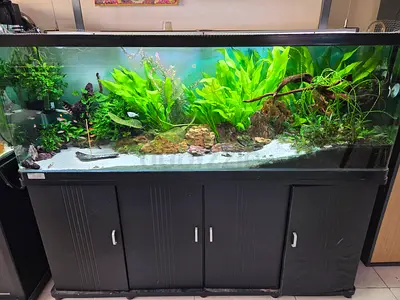 Aquarium for sell