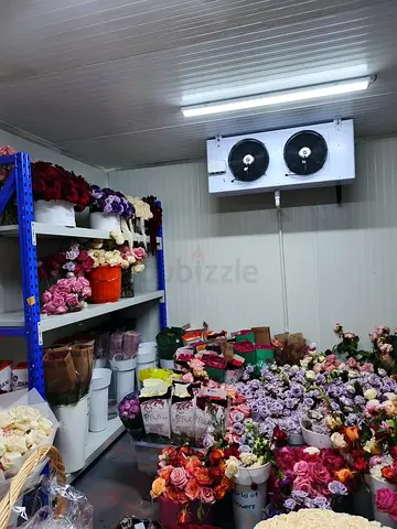 Commercial Cold Room / Walk-in Refrigerator with Evaporator