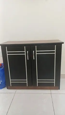 Compact Black Wooden Shoe Cabinet with Double Doors