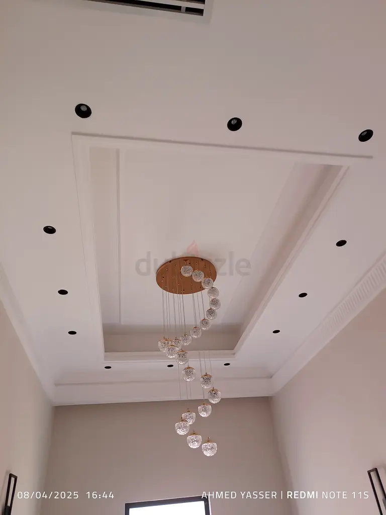 DPV_View_Image_8