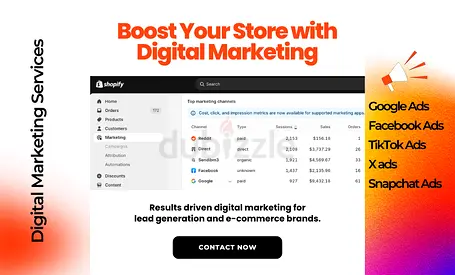 Google Ads Expert for Shopify  E-com | 3x ROAS Guaranteed