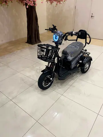 3 wheels electric Scooter for 2 person 48 v