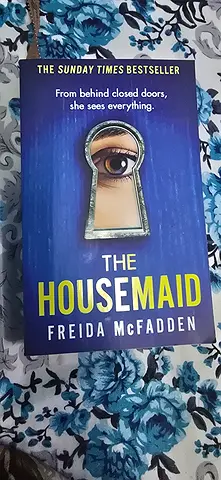 The housemaid thriller mystery book for sale