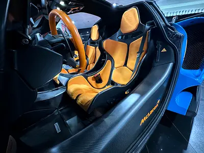 2019 Mclaren SENNA photo 11