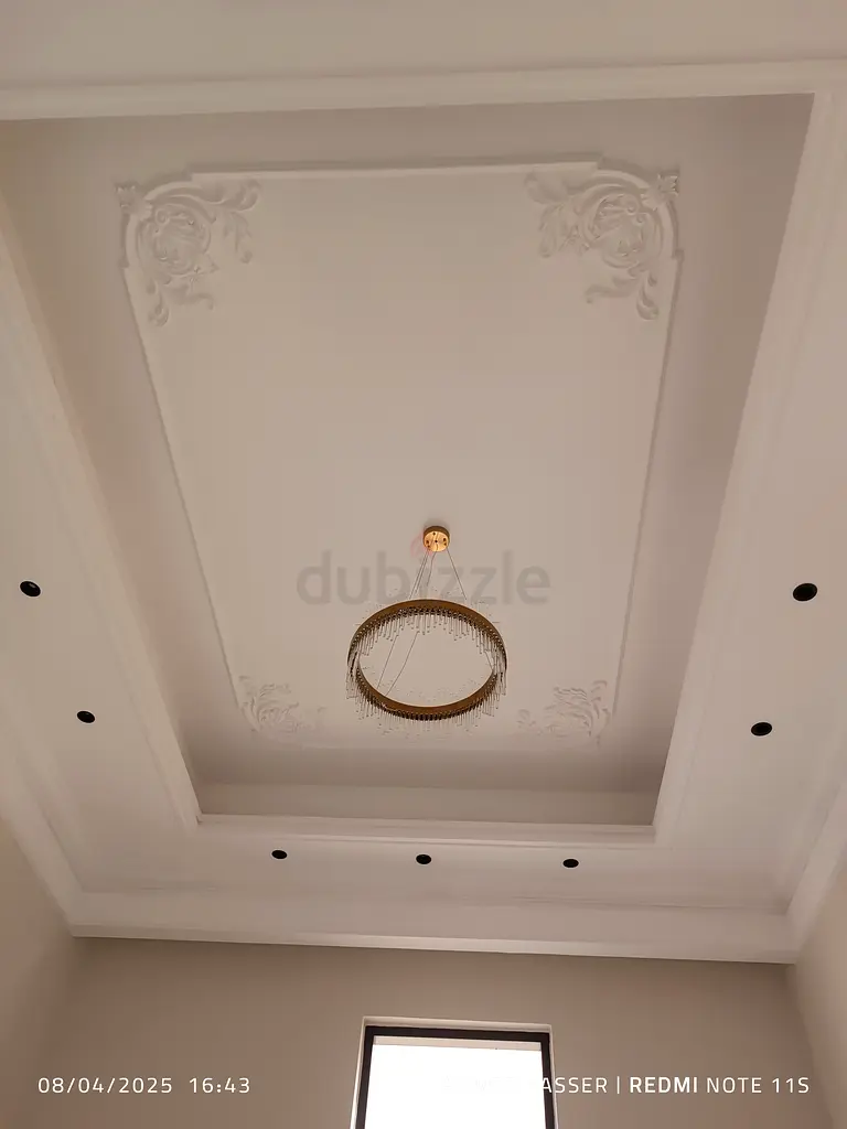 DPV_View_Image_7