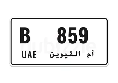 B859