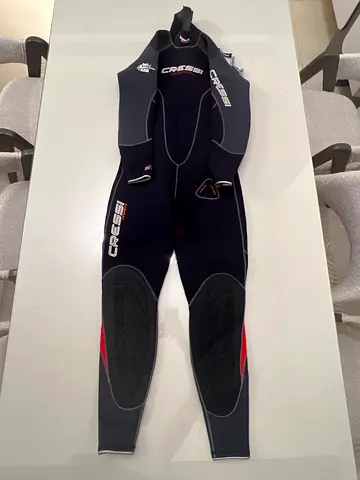 Diving suit