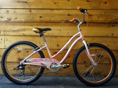 Giant Liv Gloss 2 Kids Bike