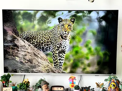 Philips TV 4K 65-inch Smart TV