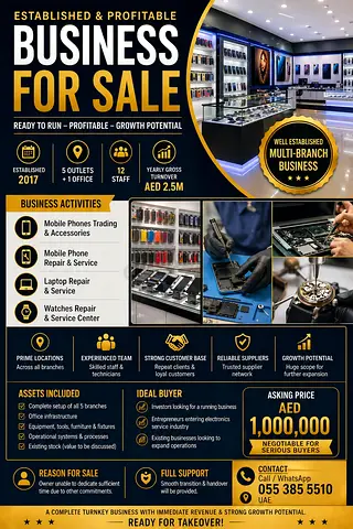 Established Multi Branch Electronic Business for Sale