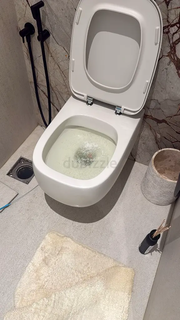 DPV_View_Image_1