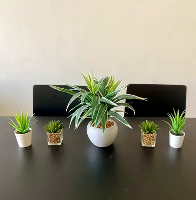 Set of 5 Decorative Artificial Succulent Plants with Pots