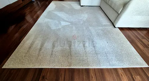 Light Beige Large Area Rug - Soft Low-Pile, 8x10 (approx)