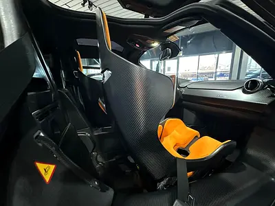 2019 Mclaren SENNA photo 15