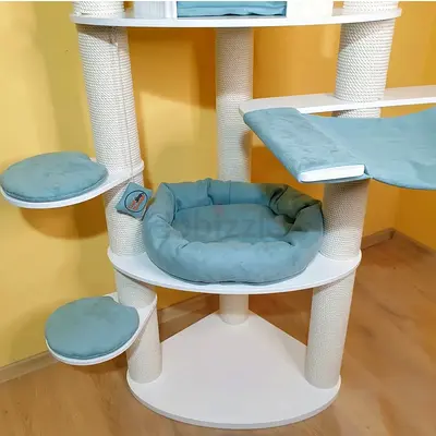 Kittens  😸  house 🏠 Accessories