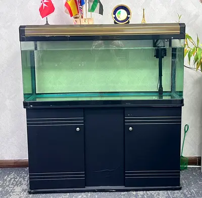Fish Tank on sale