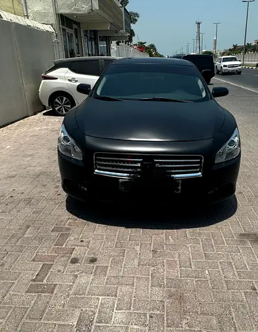 دبي الممزر ديرة