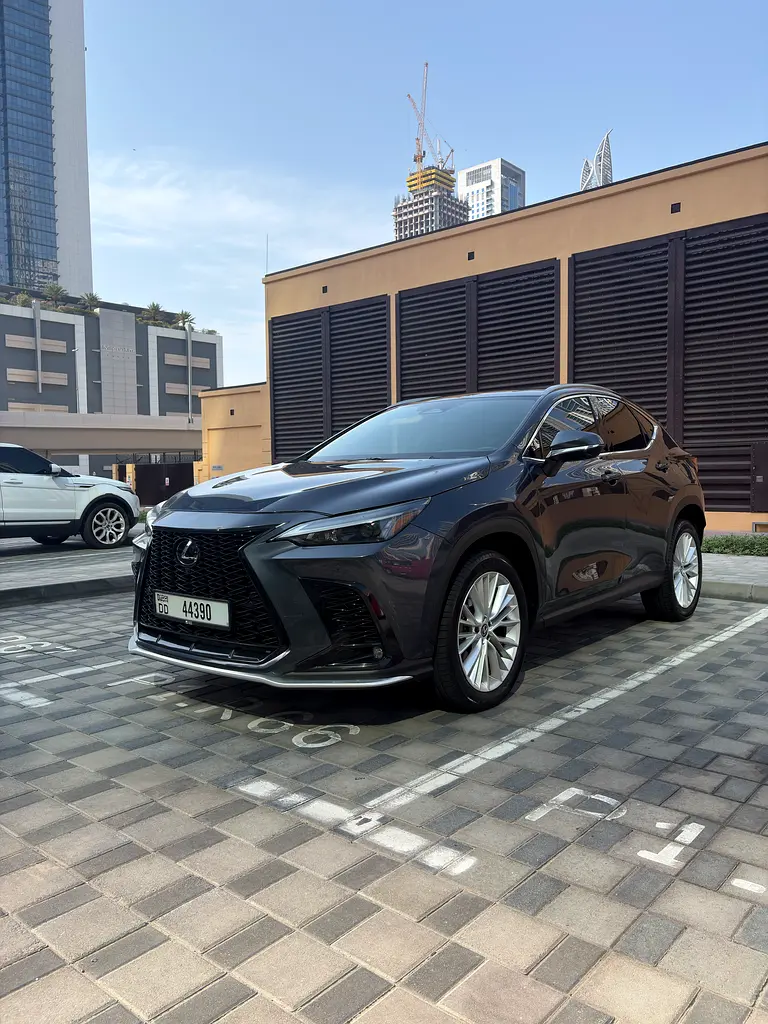 Lexus NX-Series 2022 — photo 1 of 20