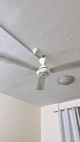 Ceiling fan