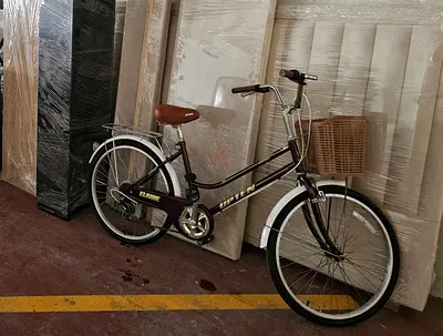 Upten Elaine Classic City Bike - Maroon Color