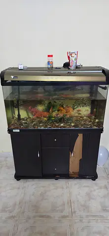 Large Fish Aquarium with Cabinet and Hood - Ready to Use Fishes are not included