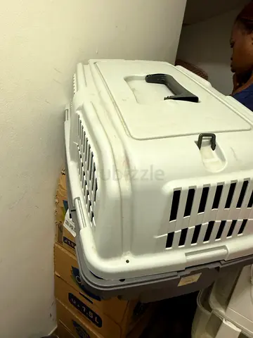 Cage for small animal