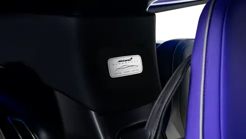 2020 Mclaren SPEEDTAIL 缩略图 14