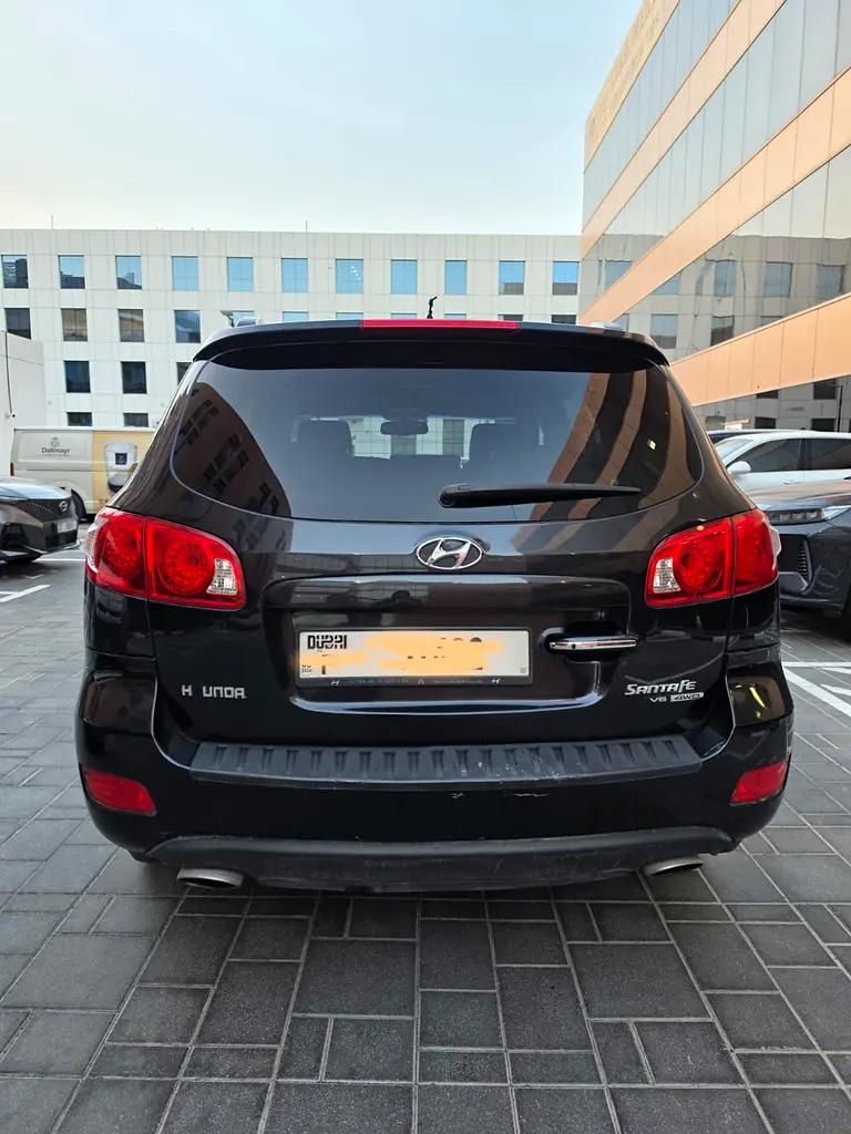 Hyundai Santa Fe 2009 — photo 1 of 13