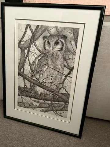 Framed Detailed Pen-and-Ink Owl Illustration
