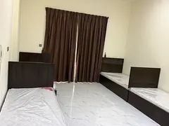 Executive bachelor International City