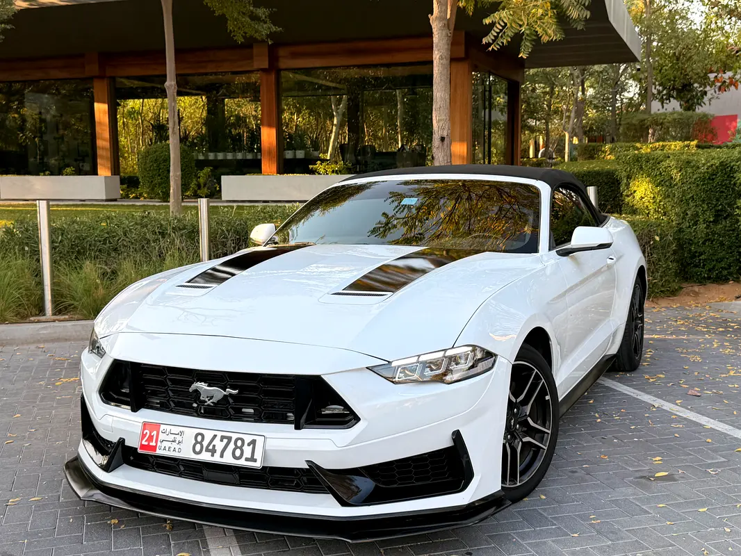 Ford Mustang 2019 — photo 1 of 20