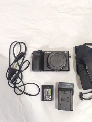 Sony A6600 Just body