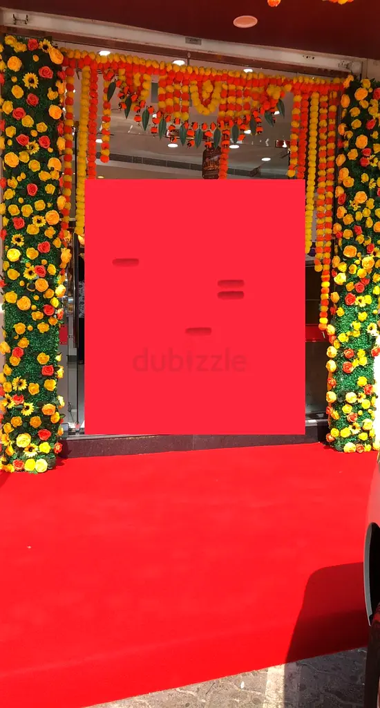 DPV_View_Image_1