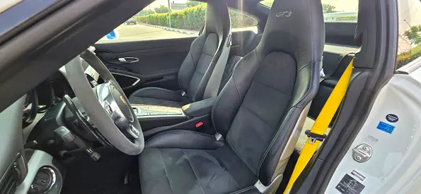 2015 Porsche 911 缩略图 12