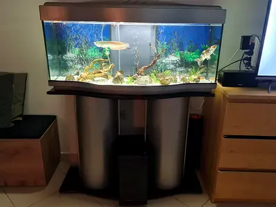 Aquarium