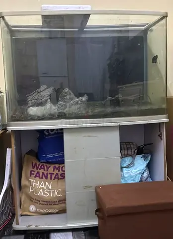 Large Used Fish Aquarium with Cabinet