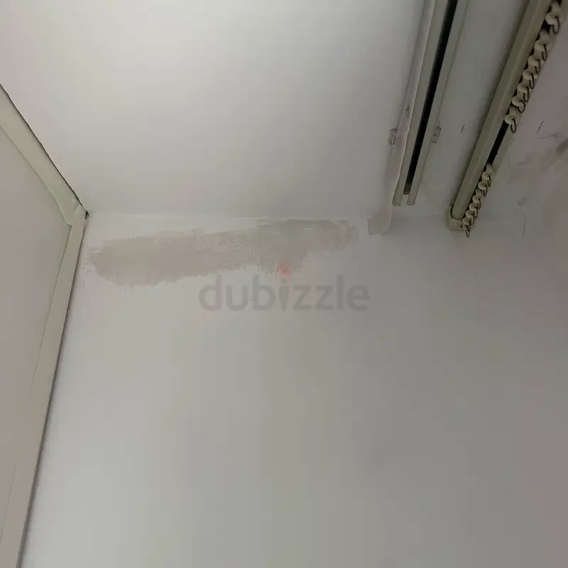 DPV_View_Image_2