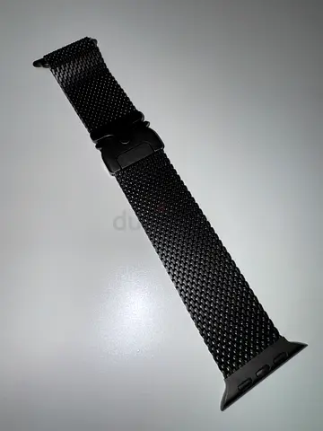 Apple watch titanium band