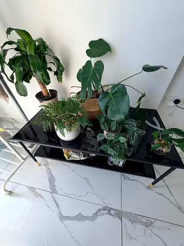 Black Glass Console Table with Gold Legs — Good Condition