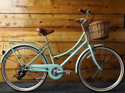 Spartan 24 Platinum City Bike