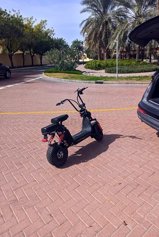 Electric mini Harley scooter