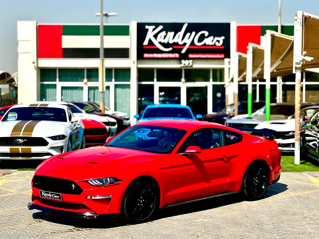 Ford Mustang 2019 — photo 1 of 11