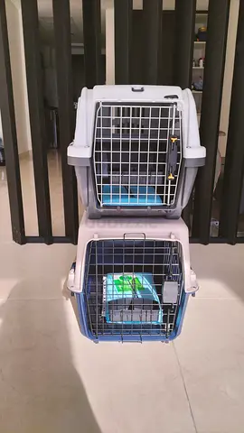 Cat Travel Crates