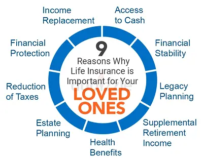 Insurance Services