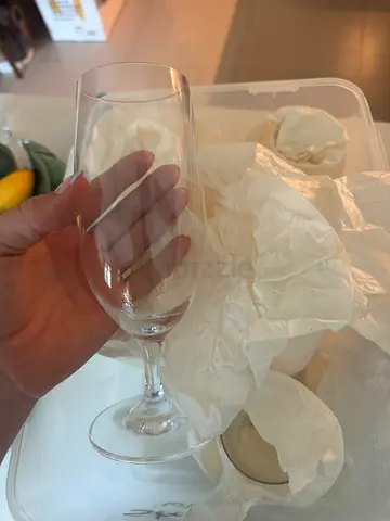 Schott  zwiesel beer glasses