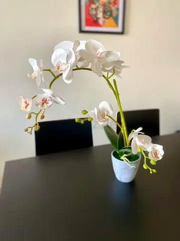 White Artificial Orchid in Ceramic Pot — Decorative Table Plant
