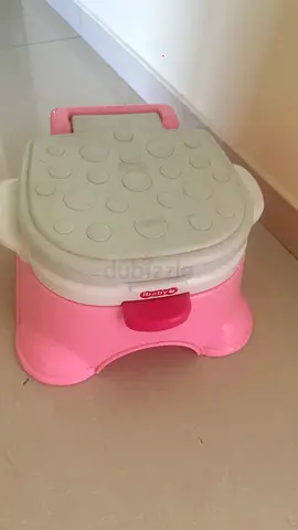 Baby potty seat