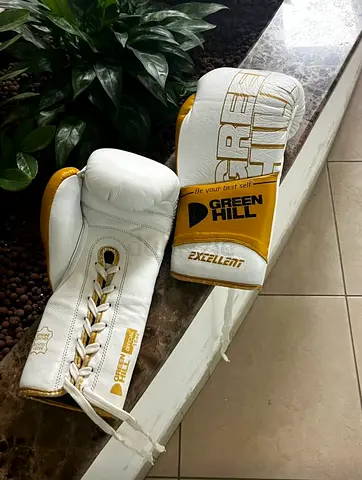 Boxing gloves