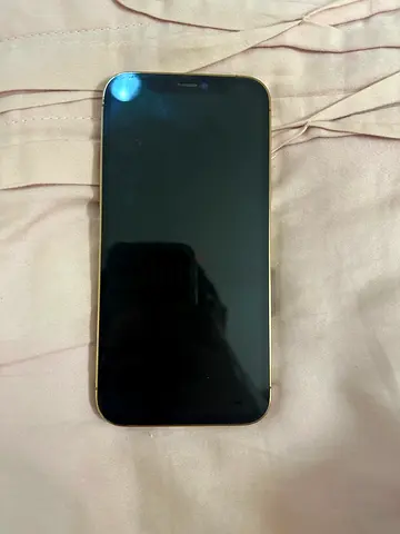 iPhone 12 (in recovery mode)(might not be working) + phone case